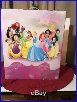 Disney Parks (Store) Princess Deluxe Doll Gift Set