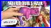 Weird_Doll_Haul_Disney_Princess_Mermaids_Cats_Dinosaurs_01_xdy